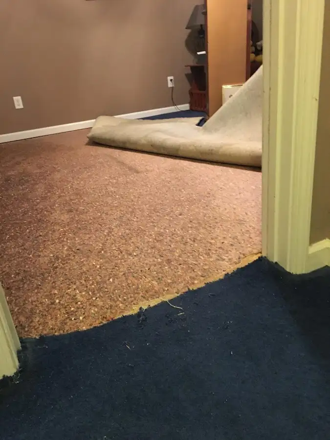 Carpet pad removal revealing water damage during Drying & Dehumidification in Princeton